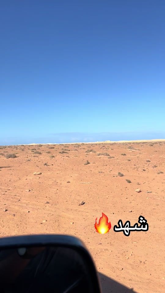 TikTok video thumbnail by shawida_0_