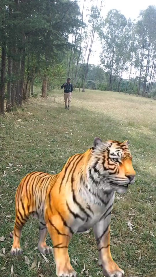 TikTok video thumbnail by haymanot.simeneh