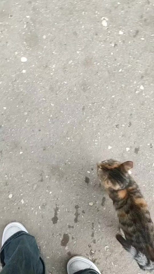 TikTok video thumbnail by byva_byva