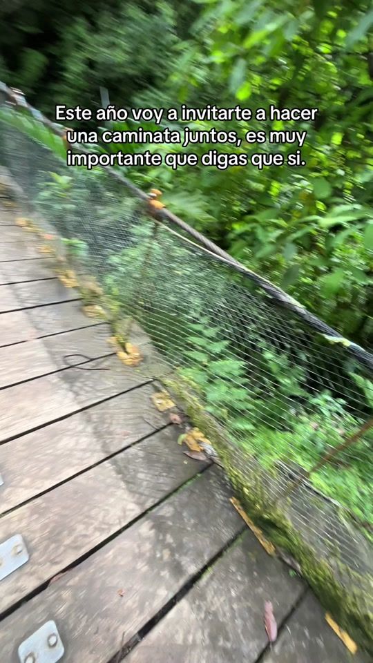 TikTok video thumbnail by diazleonardoo