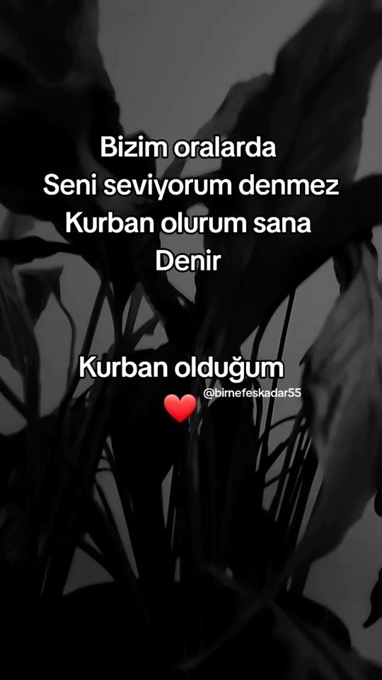 TikTok video thumbnail by birnefeskadar55