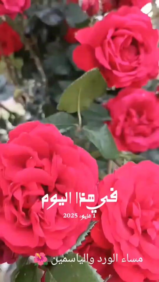 TikTok video thumbnail by em.odah79