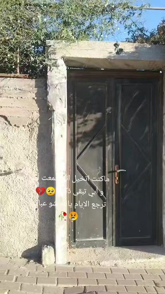 TikTok video thumbnail by user630905361