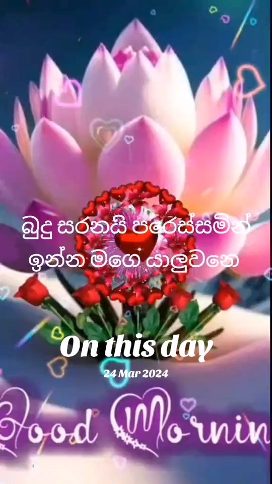 TikTok video thumbnail by user0773345790