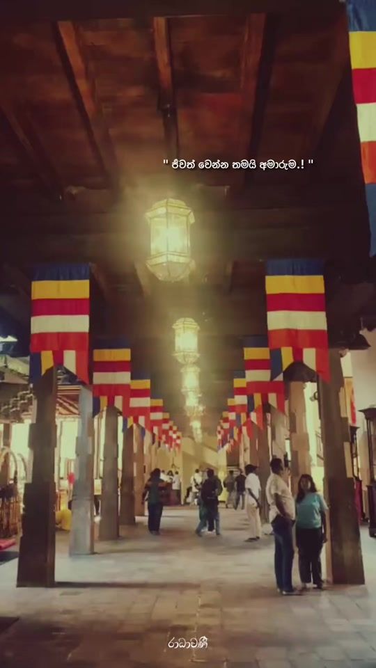 TikTok video thumbnail by radha_2003_