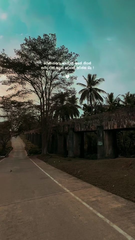 TikTok video thumbnail by akiii_page