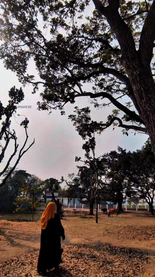 TikTok video thumbnail by __musrat__