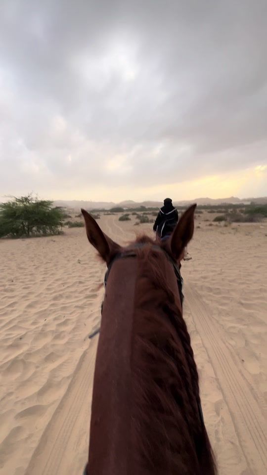 TikTok video thumbnail by zicxve