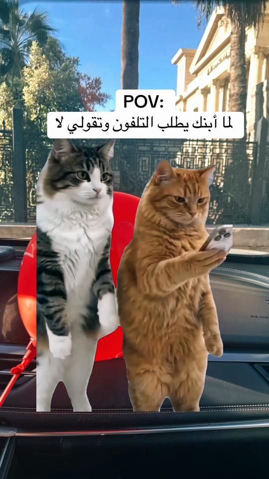 TikTok video thumbnail by sheree981