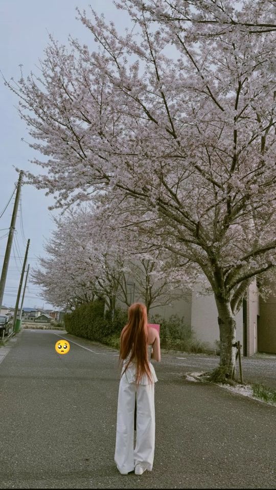 TikTok video thumbnail by linlin99831