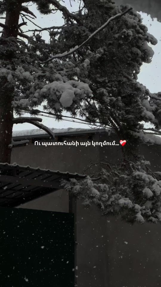 TikTok video thumbnail by imsirtttt