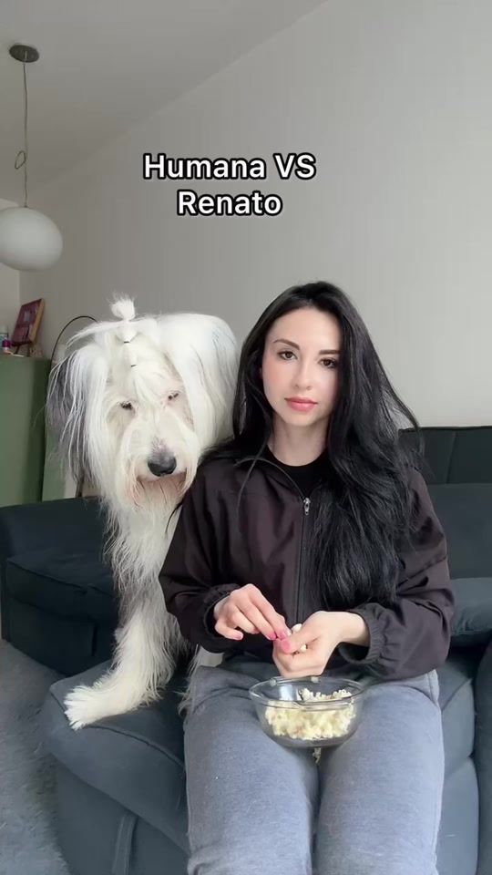 TikTok video thumbnail by renato.elperro