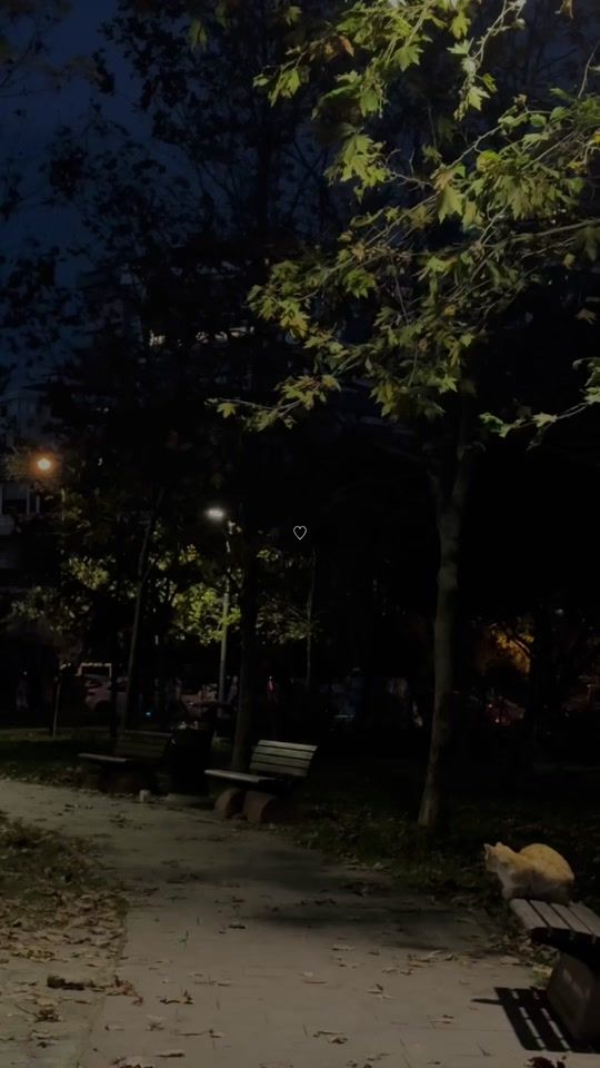 TikTok video thumbnail by ar.ij1