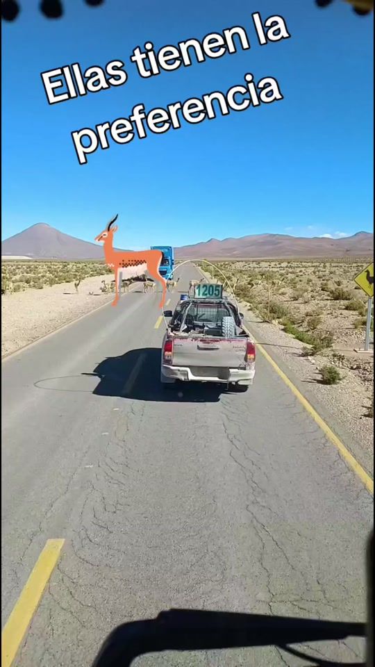 TikTok video thumbnail by valentinohch