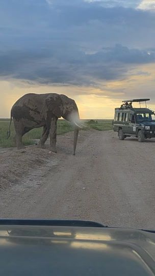 TikTok video thumbnail by jr.adventures.ke