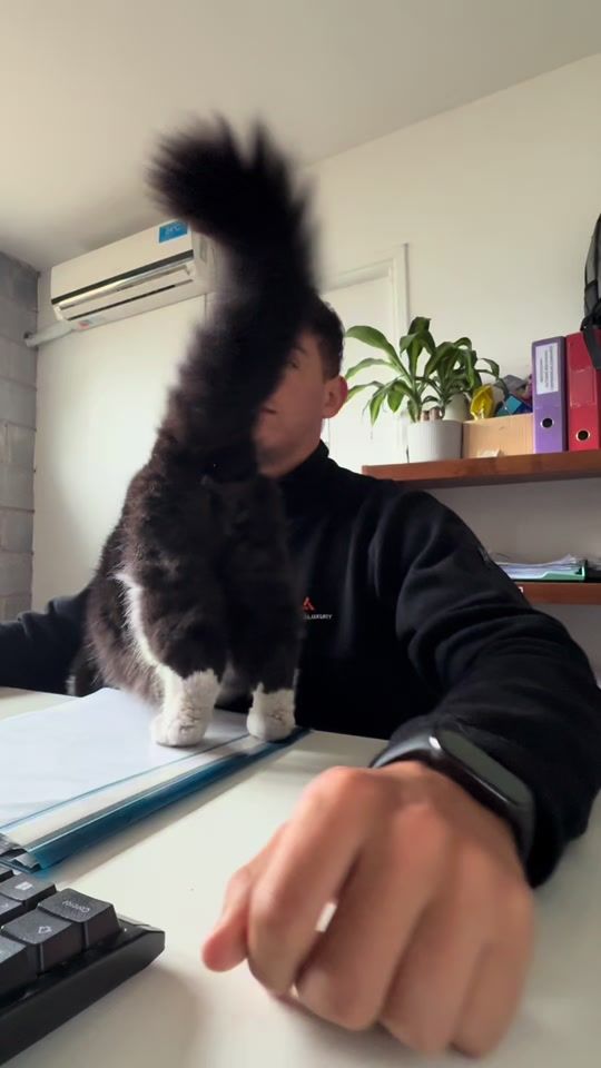 TikTok video thumbnail by cristianherreraa_