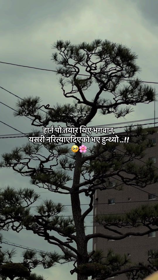 TikTok video thumbnail by rk_bhandari