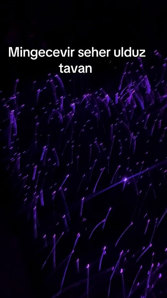 TikTok video thumbnail by vito_sprinter_aksesuar