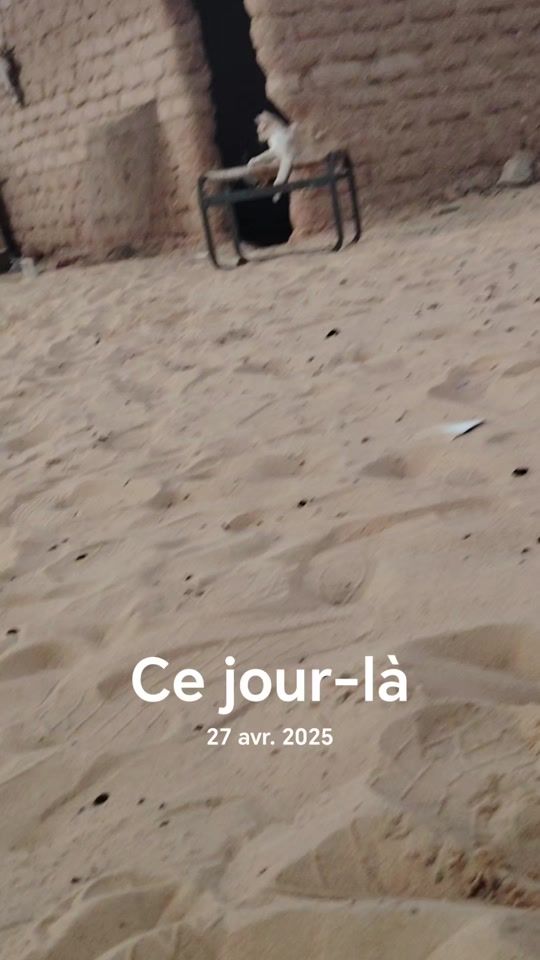 TikTok video thumbnail by fils_de_