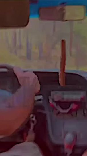 TikTok video thumbnail by _vlvalraf315_
