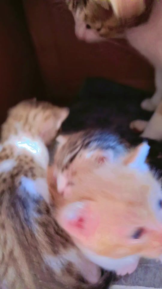 TikTok video thumbnail by r.m123m1
