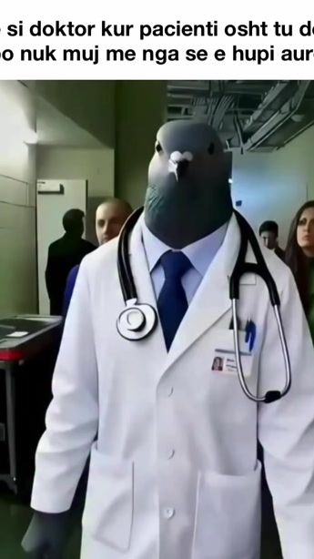 TikTok video thumbnail by funny.pablo