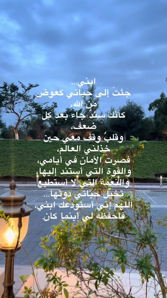 TikTok video thumbnail by areem51
