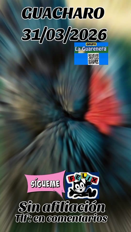 TikTok video thumbnail by felix_0204