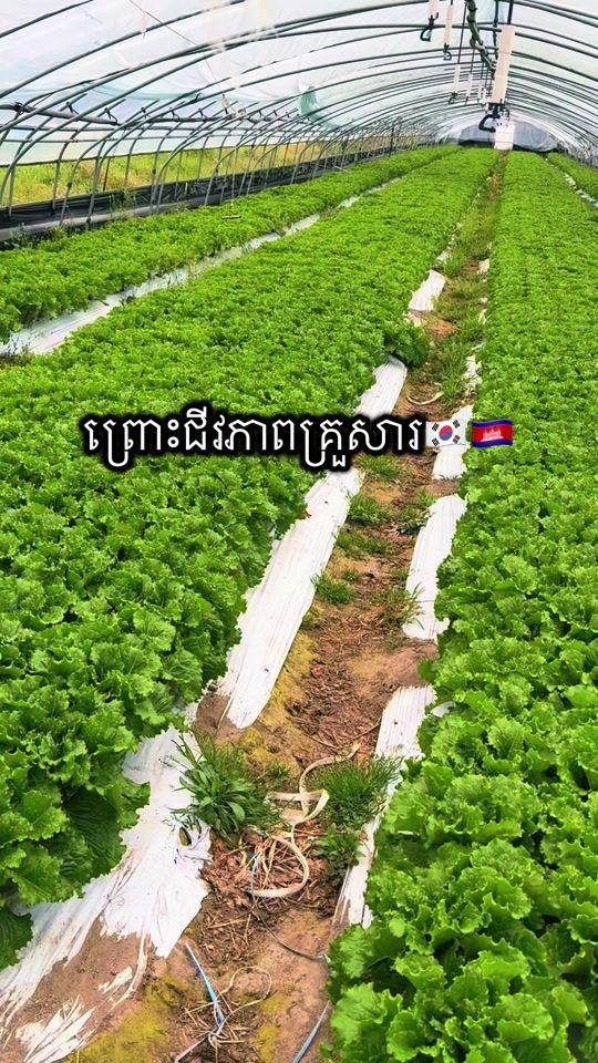 TikTok video thumbnail by ngoykunthea