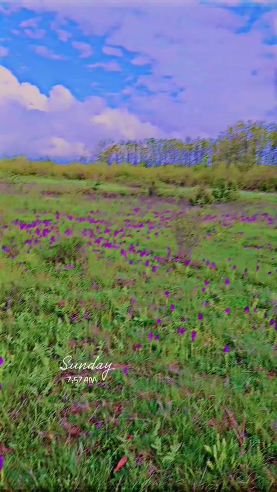 TikTok video thumbnail by lushi264