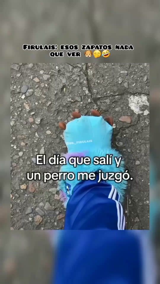 TikTok video thumbnail by sr._firulais