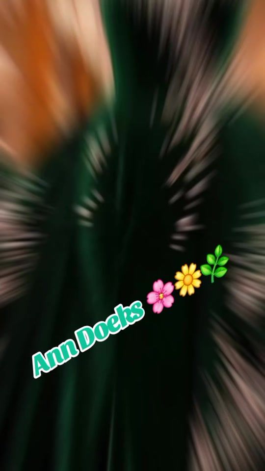 TikTok video thumbnail by anitadoeks