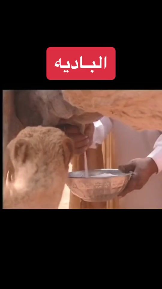 TikTok video thumbnail by kd30kd