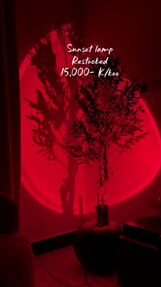 TikTok video thumbnail by mfl_goods