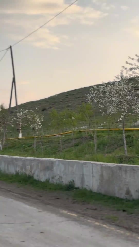 TikTok video thumbnail by elekber_memmedli