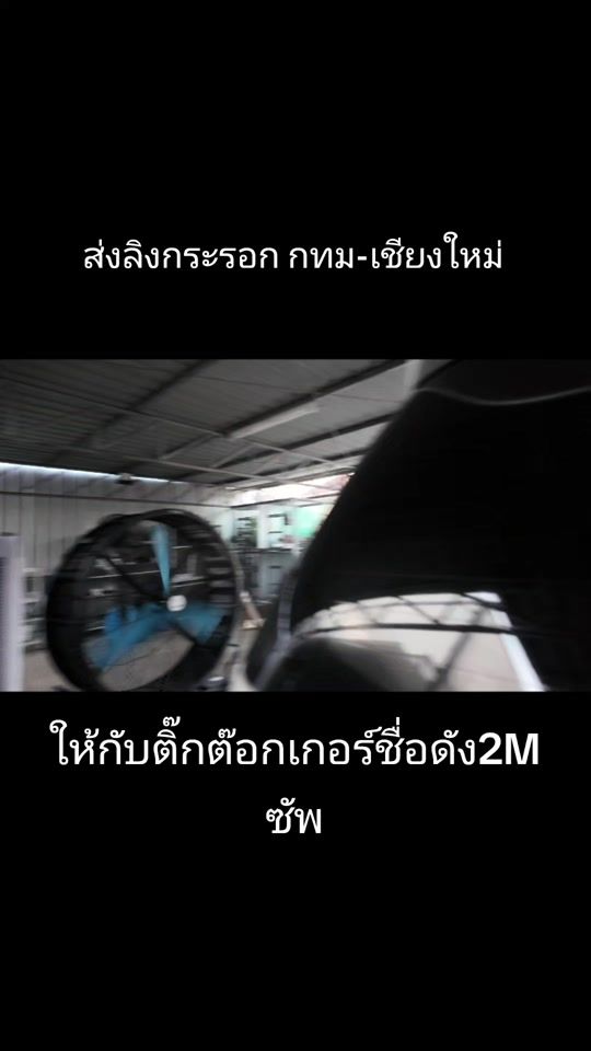 TikTok video thumbnail by at_monkeyhouse1919