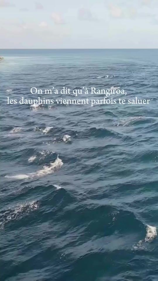 TikTok video thumbnail by partons_decouvrir