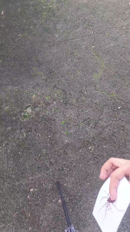 TikTok video thumbnail by syyglory