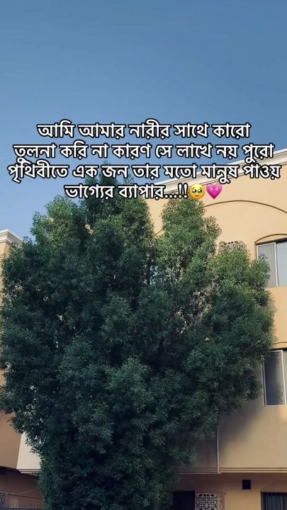 TikTok video thumbnail by js_sujon_33