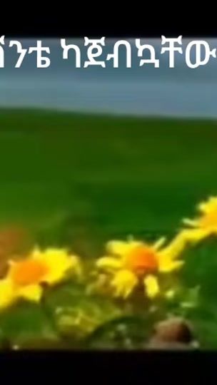 TikTok video thumbnail by asfaw.melis