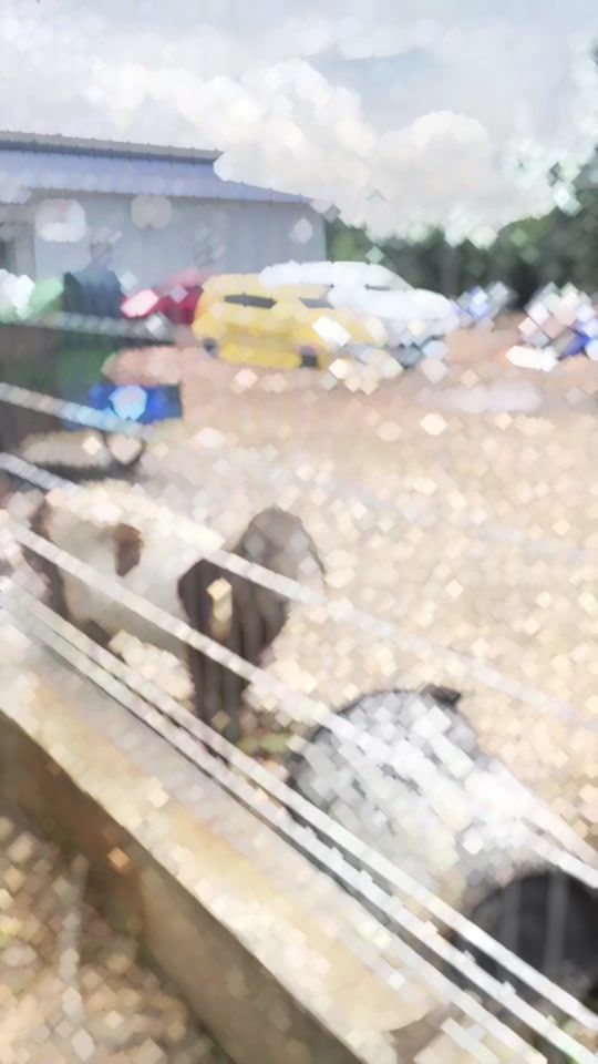 TikTok video thumbnail by _nazim.co
