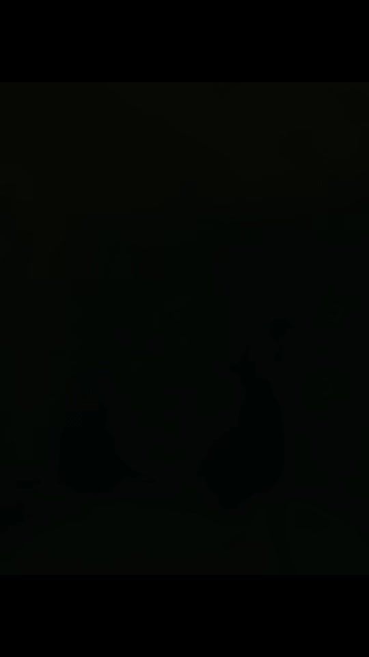 TikTok video thumbnail by hands_on_with_ellenita