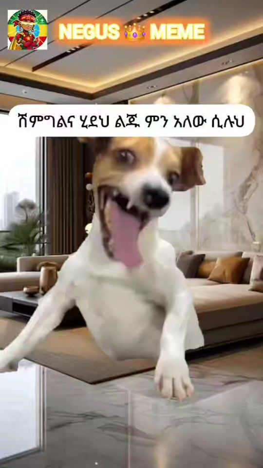 TikTok video thumbnail by negus_meme