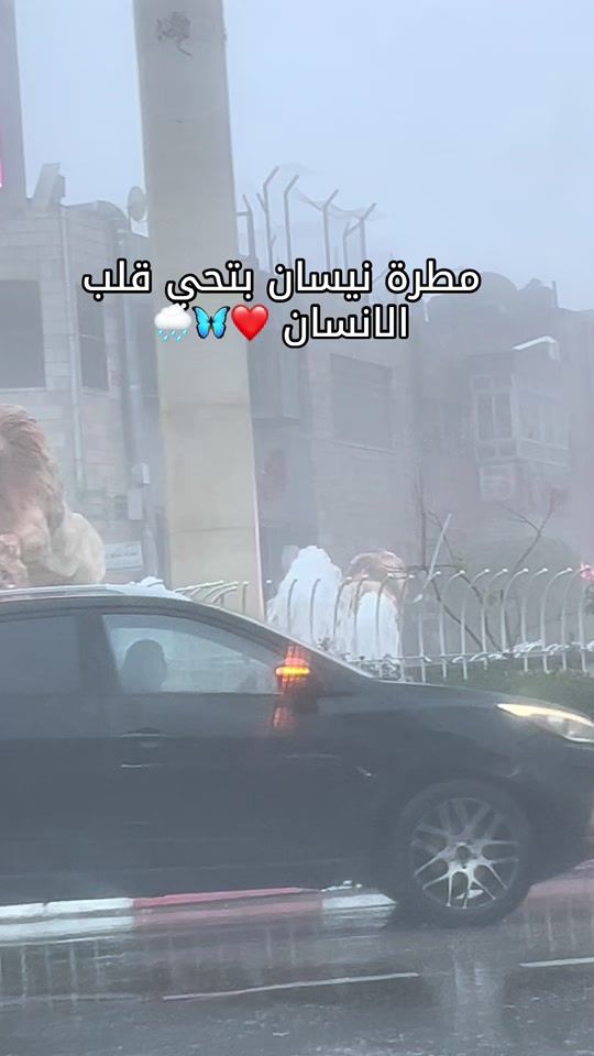 TikTok video thumbnail by aliaroure1