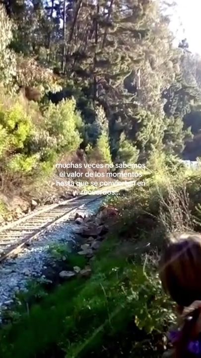 TikTok video thumbnail by p.cerpa
