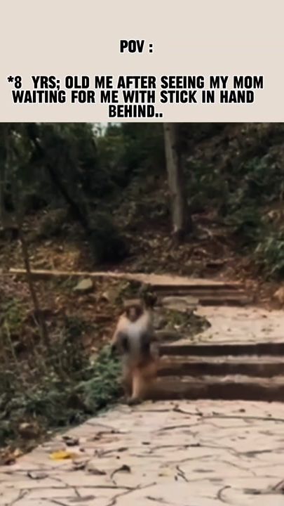 TikTok video thumbnail by sept_27th