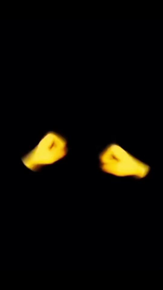 TikTok video thumbnail by gamzeli_adam3