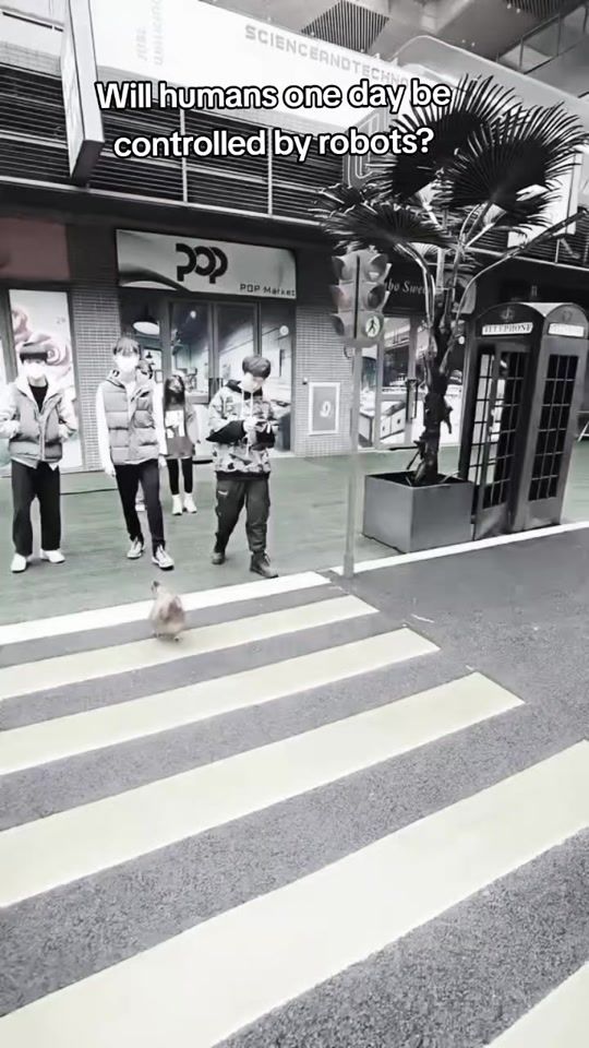 TikTok video thumbnail by jafor_96