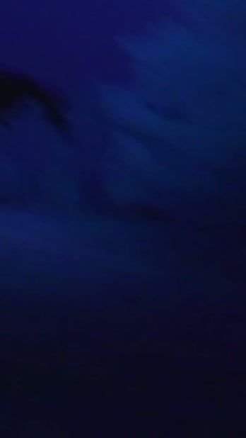 TikTok video thumbnail by danielcaesarth