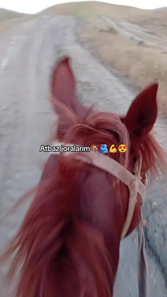TikTok video thumbnail by nurmuhammet2011